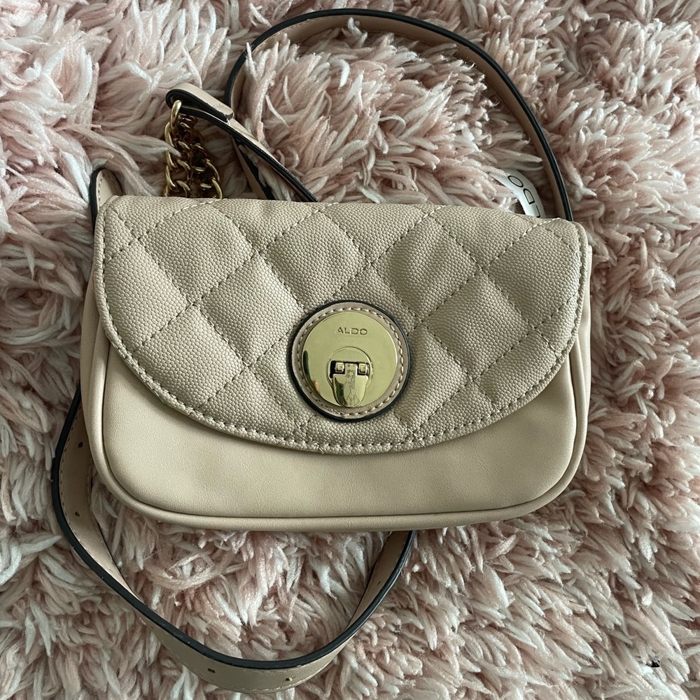ALDO Belt Bag